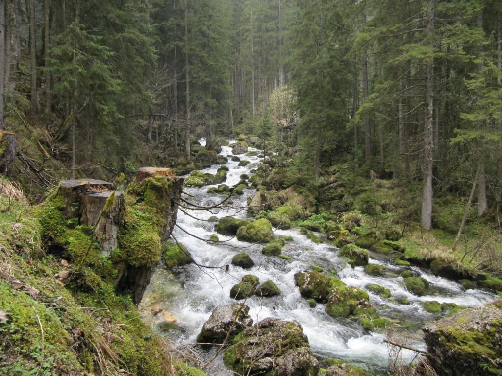 Bed and Breakfast Goldener Ochs Голлинг-на-Хальцахе Экстерьер фото